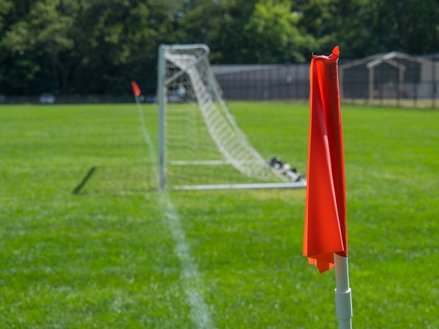 魏翊东：我和谢晖合影是在J联赛现场，被捏造成他要执教国安