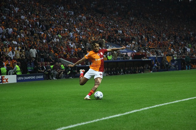 赢得比赛的 赢得比赛的