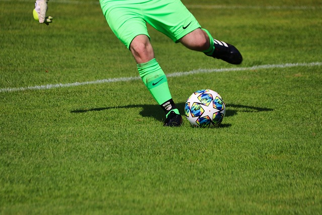 了填补现有 了填补现有