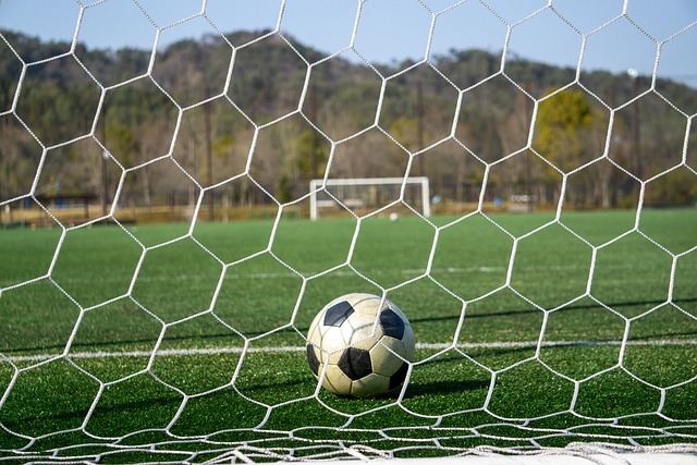 而球队也正 而球队也正